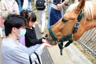 2024年度紫荆马文化节顺利举行